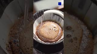 Ringo Ame Coffee : Drip on ice Ratio