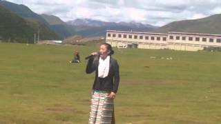 སྦྲ་ཆེན་གྱི་འབྲོག་གླུ།