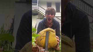 Opening coconuts is oddly satisfying😏 w Carter Kench #shorts