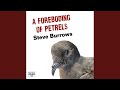 Chapter 12.4 - A Foreboding of Petrels