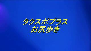 スポレク基礎実技「タクスポプラス『お尻歩き』」