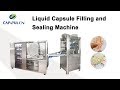 Liquid Capsule Filling and Sealing Machine NJP-260