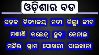 ଓଡ଼ିଶାର ବୃହତ୍ତମ | Biggest In Odisha | Odisha GK 2024.