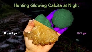 Collecting Glow-in-the-Dark Calcite Crystals at Night with an Ultraviolet Flashlight