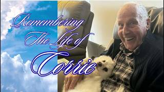 🕊️ In Loving Memory: The Life of Corrie (1934–2026) 🕊️