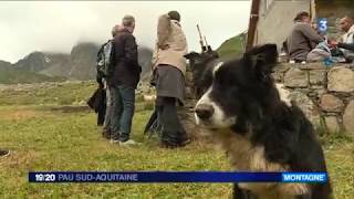 La commission européenne visite une estive en Béarn