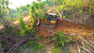 Perfectly Strong Dozer Continuing Leveling Ground For Palm Oil Plantation Construction