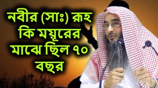 নবীর (সাঃ) রূহ কি ময়ূরের মাঝে ছিল ৭০ বছর | শাইখ মতিউর রহমান মাদানী | sheikh motiur rahman madani