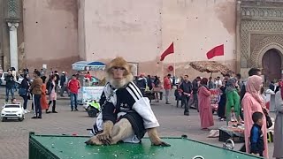 le meilleur lieux à visiter à Meknès sahate lahdime