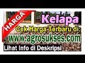 |Update 2024| Harga Kelapa Tua RP, Pusat Informasi Terbaru, Penjual Pembeli | Agro Smart