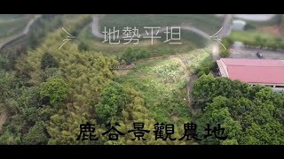 南投縣鹿谷鄉~~景觀休閒農地 880坪