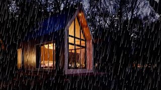Rain and Thunder Sounds for Sleep by Soothing Relaxation, Rain sounds, Insomnia, White Noise