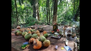 ದೀಪಾವಳಿ ಪ್ರಯುಕ್ತ ಪೆರ್ಮುಖ ಬನ ದೀಪಾರಾಧನೆ | Deeparadhana at Permukha bana on Deepavali