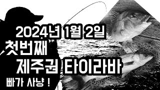 새해 첫 낚시 제주도 타이라바 빠가사냥 고고!