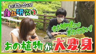 もう地味とは言わせない！あの植物が大変身 ～まだ間に合う！自由研究②～