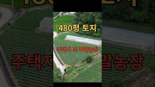 물건번호 039번 // 안동시 도산면 시골의 작은 토지 소개 (480평)