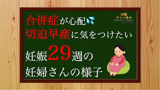 【妊娠29週】切迫早産に気をつけたい💦29週妊婦さんの様子