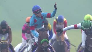 有馬記念 2018 ブラストワンピース