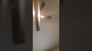 Only Fan S