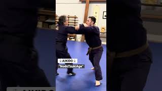 Hit ‘em with the Marshawn Lynch stiff arm #aikido #martialarts #fight