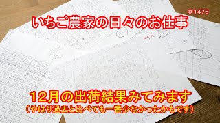 １２月の出荷結果みてみます（やはり過去と比べても一番少なかったかもです）　いちご農家の日々のお仕事　＃１４７６