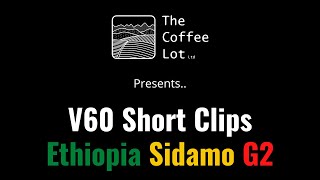 V60 Shorts ~ Ethiopia Sidamo G2