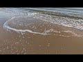 walking through dorset a sandbanks and studland beach walk 4k