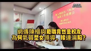 網傳陳樞與戴璐竟然是校友，為何氣質型女領導，接連淪陷？