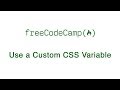 Basic CSS - Use a custom CSS Variable - freeCodeCamp