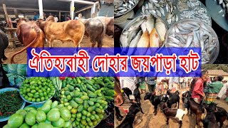 ঐতিহ্যবাহী জয়পাড়া হাটে বড় মাছ, বিশাল গরু, ছাগল, হাস মুরগি কি নেই এই হাটে | Hat Bazar 2024