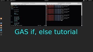 GAS x64 GNU Assembler conditional statement tutorial in Linux