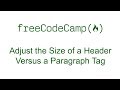 Applied Visual Design - Adjust the Size of a Header Versus a Paragraph Tag - Free Code Camp
