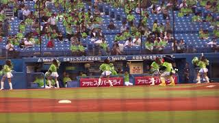 畜生はお前もか、つばみ・・・　we are the swallows　東京ヤクルトvs中日　2017年7月27日