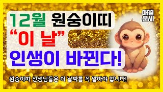 [운세] 원숭이띠 주목!! 2024년 12월 원숭이띠 인생역전!! 12월 원숭이띠 운세 반안살 대길일 재물운 로또운세 44년 56년 68년 80년 92년 하반기 운세