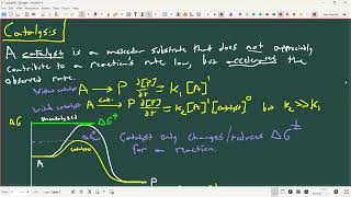 Lecture 26 - Basic Enzyme Kinetics