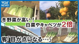 白菜やキャベツは2倍に…冬野菜値上がりに　客「目が点になる」市場関係者「非常に心を痛めている」大分