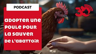 PODCAST - Sauver une poule de l'abattoir... en l'adoptant !