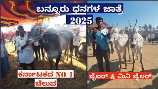 Bannur dhangala Jatre 2025| ಬನ್ನೂರು ಧನಗಳ ಜಾತ್ರೆ ಭಾಗ 2