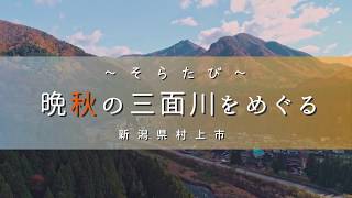 【新潟空撮】そらたび～晩秋の三面川をめぐる【DJI Phanotm 4 Pro】