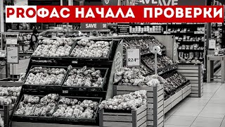 ФАС начала антикартельные проверки крупнейших торговых сетей