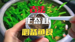 生态缸想要鱼儿长得好，选择合适的鱼食是关键