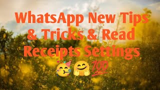 WhatsApp New Tips & Tricks & Read Receipts Settings | Tech Channel 23