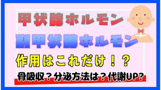 甲状腺ホルモン、副甲状腺ホルモンマスターになろう【看護師国家試験合格への道】