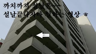 (바닥미장) 고층아파트현장 완벽하게 미장하는영상 설날 바로 다음날 일하는 ㅠㅠ(경기몰탈)