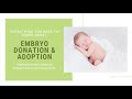 Everything You Need to Know about Embryo Donation & Adoption