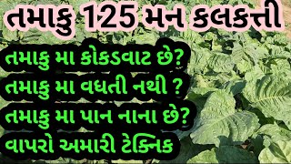 કલકત્તી તમાકુ || 125 મન || Tamaku ||990 9887736 |@bestresultsjpi955