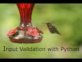 Input Validation with Python