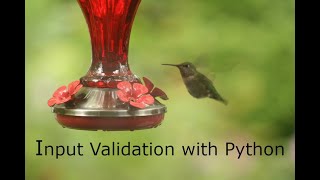 Input Validation with Python