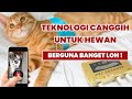 Teknologi Canggih Untuk Hewan Peliharaan!!