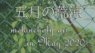 五月の荒涼【osmo pocket】The melancholy air in May 2020